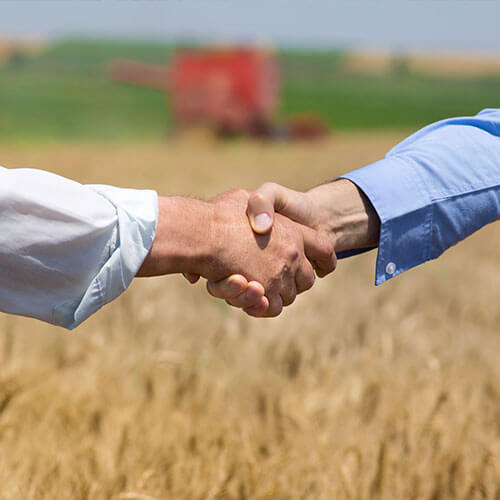 People shaking hands.