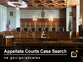 Appeallate Courts Case Search