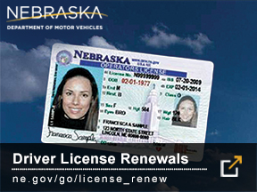 Driver License Renewals