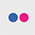 flickr icon