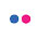 flickr icon