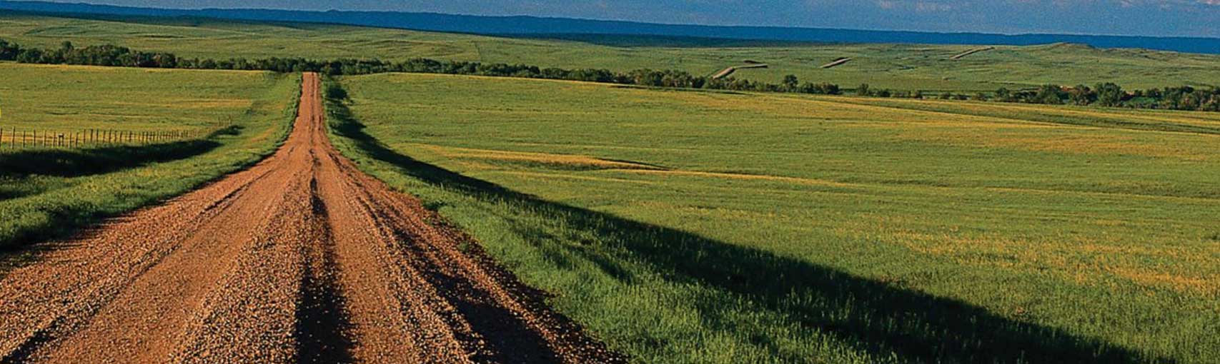 A long dirt road forges a path through the green pastures of Nebraska.  What adventures lie just over the horizon?